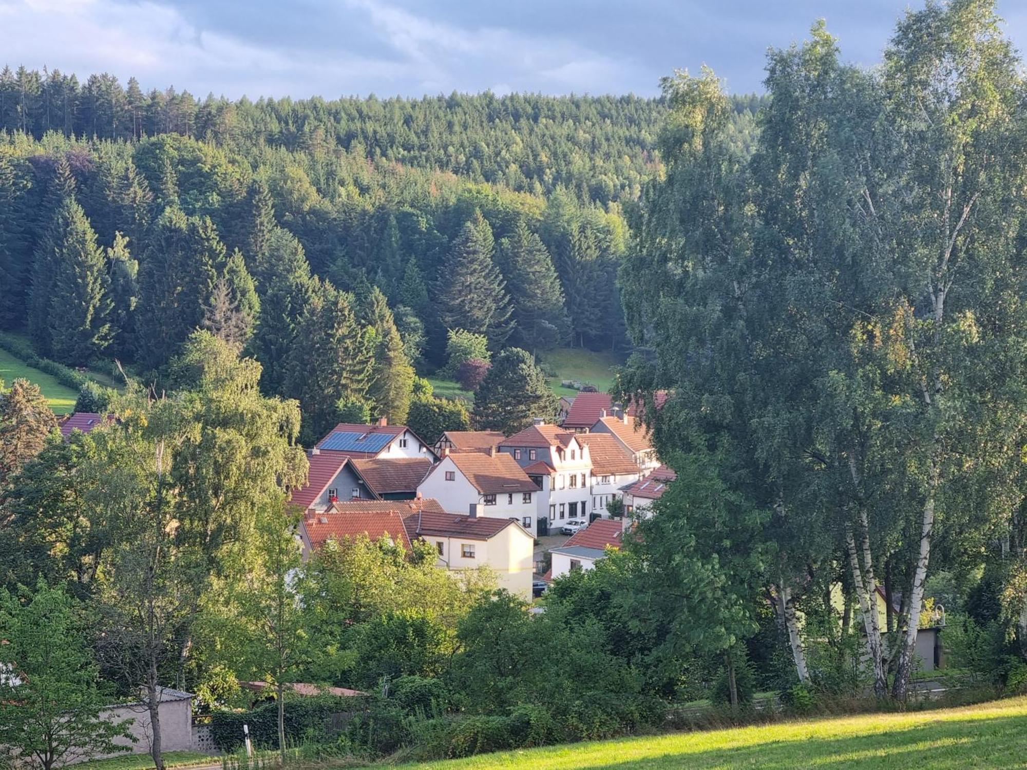 Superior - Ferienhaus Am Engelsbach Im Thueringer Wald Exteriér fotografie